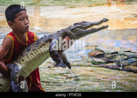 Samut Prakarn, Thailand - 25. März 2017: Junge und sein Team in der gefährlichen Krokodil zeigt. Riskante Krokodil zeigt in Crocodile Farm, einer der am meisten Impr Stockfoto