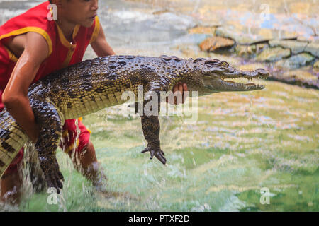 Samut Prakarn, Thailand - 25. März 2017: Junge und sein Team in der gefährlichen Krokodil zeigt. Riskante Krokodil zeigt in Crocodile Farm, einer der am meisten Impr Stockfoto