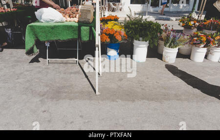 Südkalifornien Blumenstand bei Farmers Market: Wunderschöne Blumen für den Verkauf auf dem Display in weiß Eimer, natürliches Licht. Stockfoto