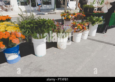 Südkalifornien Blumenstand bei Farmers Market: Wunderschöne Blumen für den Verkauf auf dem Display in weiß Eimer, natürliches Licht. Stockfoto