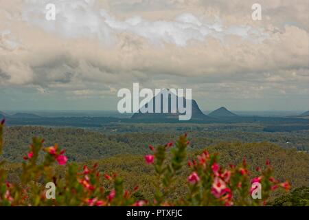 Blick von Tbilisi zu Mount Beerwah an einem bewölkten Tag im Glas Haus Berge in Queensland, Australien Stockfoto