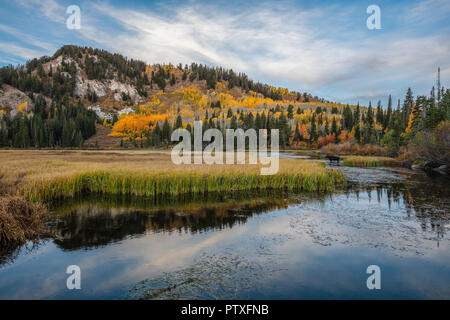 Silver Lake mit Falllaub und Elche, Brighton, Big Cottonwood Canyon, Wasatch Berge, Utah Stockfoto