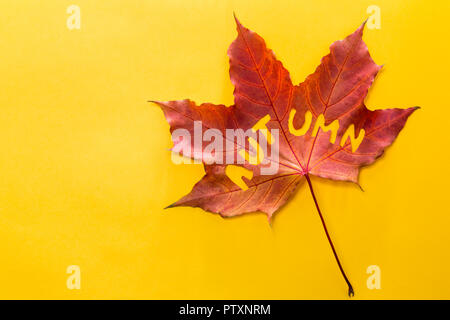 Das Wort Herbst, auf einem maple leaf geschnitzt. Auf gelben Hintergrund. Stockfoto