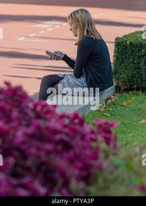 Junge Frau sitzt auf einer Wand an oder mit dem Handy oder Smartphone E-Mails und Texte suchen. Stockfoto