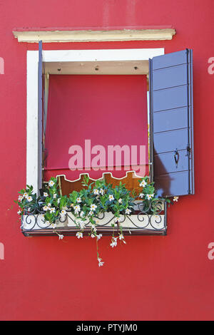 Fenster auf eine rote Wand, geschmückt mit Blumen Stockfoto