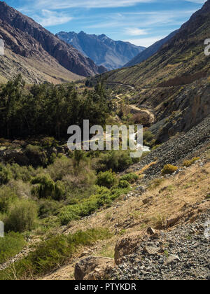 Grapeyard, Weinberg. Elqui-tal, Anden Teil der Atacama Wüste im Coquimbo region, Chile Stockfoto