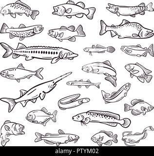 Art der Sea Food Hand gezeichnet Sammlung Stock Vektor