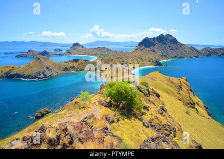 Padar Insel in der Nähe der Insel Komodo, Indonesien. Schönes Paradies Insel wandern nach oben und sehen den Blick über die Buchten der Insel in archipe Stockfoto