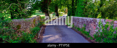 Hampshire Land Lane und Brücke am späten Nachmittag Sommer Licht, in der Nähe von Southwick in Hampshire, Großbritannien Stockfoto