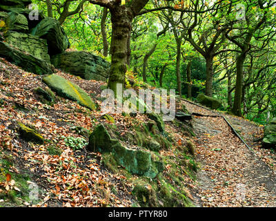 Pfad durch frühen Herbst Wald in der Nähe von Shipley Glen Baildon West Yorkshire England Stockfoto