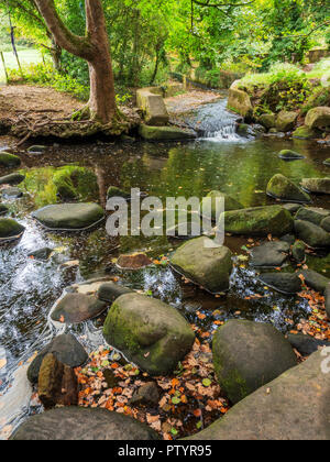 Loadpit Beck fließt durch Shipley Glen im frühen Herbst in der Nähe von Baildon West Yorkshire England Stockfoto