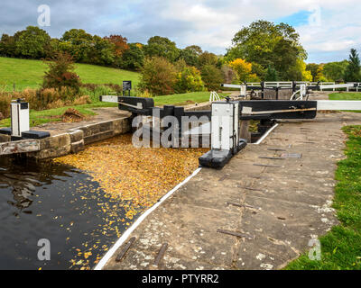 Dowley Lücke Schleusen am Leeds und Liverpool Canal zwischen Saltaire und Bingley West Yorkshire England Stockfoto