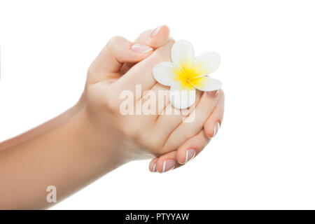 Die schöne Frau Hände mit perfekte Nägel nach Spa Maniküre Salon mit French Maniküre isoliert auf Weiss. Stilvoll trendy weiblichen Maniküre. Stockfoto