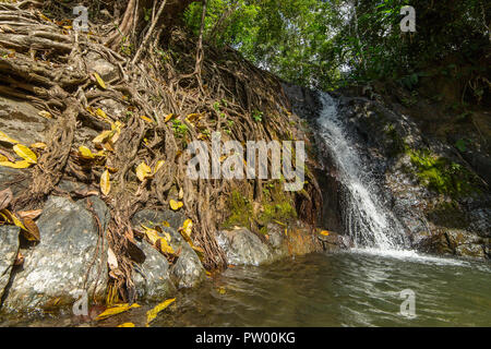 Kaeng nyui Wasserfall in Vang Vieng, Laos. Tropischer Regenwald Wasserfall Stockfoto