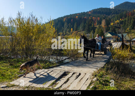 Schönen Herbst Landschaft mit einem Pferdewagen auf der hölzernen Brücke in den Karpaten, in der Ukraine. Stockfoto