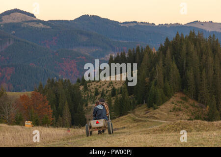 Zelene, Ukraine - Oktober 11, 2017: Schöne Herbst Landschaft mit einem Pferdewagen auf der Landstraße in den Karpaten, in der Ukraine. Stockfoto