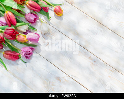Bunte Tulpen auf weißem Holztisch im Frühjahr sunlights. Frühling Hintergrund. Stockfoto
