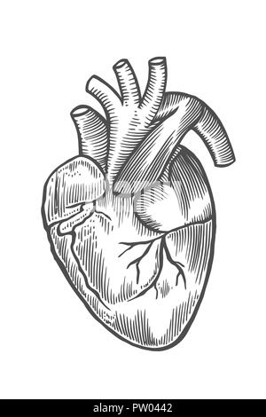Gravur menschlichen Herzen mit monochromen Flow line Art Hub isoliert auf weißem Stock Vektor