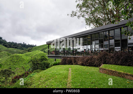 Cameron Highlands, Malaysia - 30. Dezember 2016: Sungai Palas BOH Tea House, einer der am meisten besuchten Tea House von Touristen in Cameron Highland, Malaysi Stockfoto