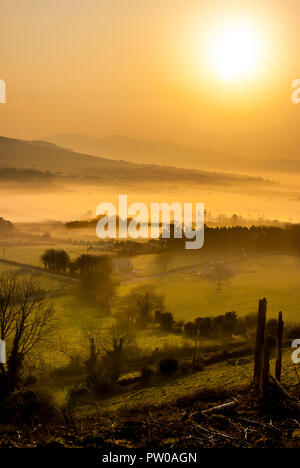 Sommer, goldener Sonnenaufgang über dem Tal. Goldene Nebel das Tal durch den dunklen Bäumen gegenüber. Die Sonne, eine goldene Kugel im Nebel, Abdeckungen eve Stockfoto