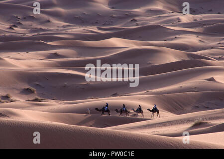 Trekking in der Wüste... Ich liebe es! Stockfoto
