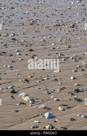 Kieselsteine und kleine Felsen, die nach Ebbe am Strand gestrandet sind. Lassen Sie keinen Stein unverdreht Metapher. Stockfoto