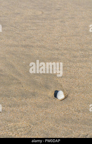 Isolierter Kieselstein auf nassem Sandbett am Strand. Für 'Last man Standing', ungerade Mann aus, ungerade einer aus, Rock ganz allein, einzelner Stein, Lassen Sie keinen Stein unverdreht. Stockfoto