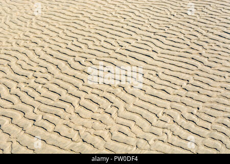 Bei Ebbe wellige Flecken / Fluvialkämme im nassen Strandsand. Mars-ähnliches Flussmuster-Konzept. Für Stratigraphiestudien. Stockfoto