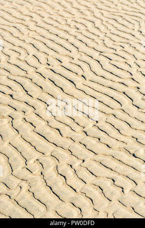 Bei Ebbe wellige Flecken / Fluvialkämme im nassen Strandsand. Mars-ähnliches Flussmuster-Konzept. Für Stratigraphiestudien. Stockfoto