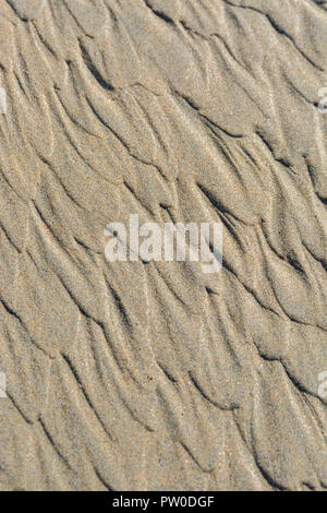 Bei Ebbe wellige Flecken / Fluvialkämme im nassen Strandsand. Mars-ähnliches Flussmuster-Konzept. Für Stratigraphiestudien. Stockfoto