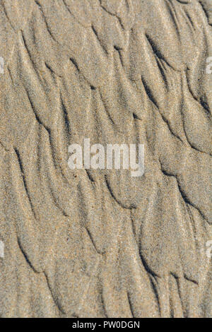 Bei Ebbe wellige Flecken / Fluvialkämme im nassen Strandsand. Mars-ähnliches Flussmuster-Konzept. Für Stratigraphiestudien. Stockfoto