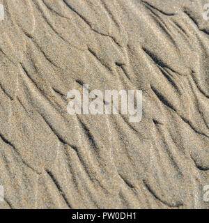 Bei Ebbe wellige Flecken / Fluvialkämme im nassen Strandsand. Mars-ähnliches Flussmuster-Konzept. Für Stratigraphiestudien. Stockfoto