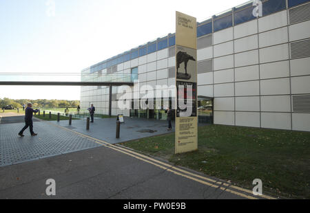 Allgemeine Ansicht außerhalb der Elisabeth Frink Menschen und andere Tiere Ausstellung Vorschau am Sainsbury Zentrum für Bildende Kunst in Norwich, Norfolk. PRESS ASSOCIATION Foto. Bild Datum: Donnerstag, den 11. Oktober 2018. Die Ausstellung wird neue Perspektiven eröffnen und Ihre radikalen und böhmische Anfänge in den 50er Jahren in London, eine der wichtigsten britischen Bildhauer des 20. Jahrhunderts Aufarbeitung. Photo Credit: Chris Radburn/PA-Kabel Stockfoto