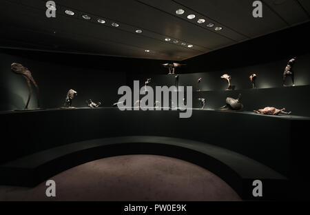 Die Arbeit von Elisabeth Frink auf Anzeige an der Elisabeth Frink Menschen und andere Tiere Ausstellung Vorschau am Sainsbury Zentrum für Bildende Kunst in Norwich, Norfolk. PRESS ASSOCIATION Foto. Bild Datum: Donnerstag, den 11. Oktober 2018. Die Ausstellung wird neue Perspektiven eröffnen und Ihre radikalen und böhmische Anfänge in den 50er Jahren in London, eine der wichtigsten britischen Bildhauer des 20. Jahrhunderts Aufarbeitung. Photo Credit: Chris Radburn/PA-Kabel Stockfoto