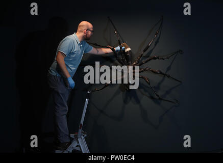 Die Arbeit von Elisabeth Frink auf Anzeige an der Elisabeth Frink Menschen und andere Tiere Ausstellung Vorschau am Sainsbury Zentrum für Bildende Kunst in Norwich, Norfolk. PRESS ASSOCIATION Foto. Bild Datum: Donnerstag, den 11. Oktober 2018. Die Ausstellung wird neue Perspektiven eröffnen und Ihre radikalen und böhmische Anfänge in den 50er Jahren in London, eine der wichtigsten britischen Bildhauer des 20. Jahrhunderts Aufarbeitung. Photo Credit: Chris Radburn/PA-Kabel Stockfoto