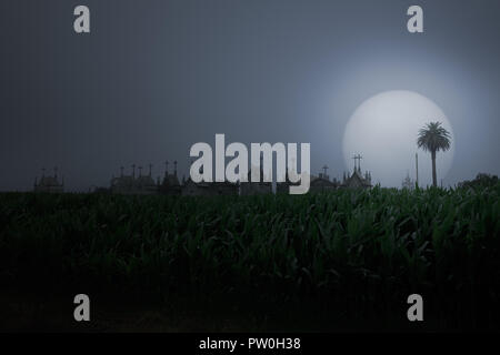 Ländliche neblige Landschaft sehen, Maisfeld und Friedhof skyline (einige digitale Rauschen hinzugefügt) Stockfoto