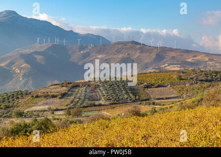Olivenplantagen in den hohen Bergen der Insel Kreta, Griechenland Stockfoto