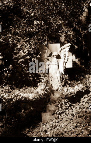 Sepia getont Stein Engel in Highgate Friedhof, London. Stockfoto