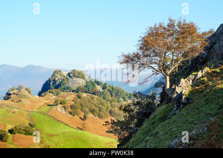 Herbst Blick auf Schloss Crag von Borrowdale-tal, Cumbria, England, Großbritannien Stockfoto