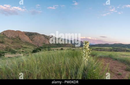 Ein Panorama des Sonnenuntergangs an Eagles Nest Open Space in Larimer County, Colorado. Stockfoto