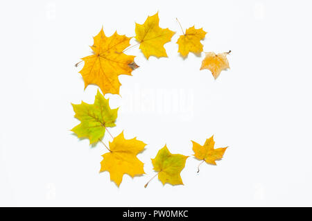 Herbst Hintergrund. Herbst Zusammensetzung aus saisonalen Herbst Blätter auf dem weißen Hintergrund mit freier Platz für Text. Herbst noch Leben Stockfoto