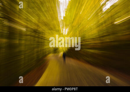 Abstrakte verschwommen Gelb Herbst Wald - aussehen wie die Zeit Reisen oder Teleportation. Ist jemand zu Fuß auf den Weg. Stockfoto