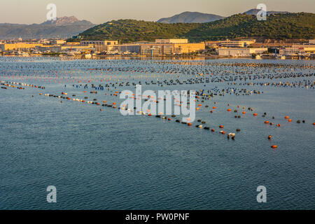 Olbia auf Sardinien. Landschaft rund um Olbia, Blick von der Kreuzfahrt Schiff in den Hafen von Olbia auf Sardinien Insel ankommen, morgen Szene Stockfoto