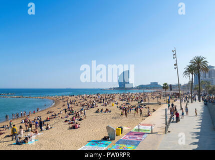 Strand von Barcelona. Der Strand in La Barceloneta (Platja de la Barceloneta), Barcelona, Spanien Stockfoto