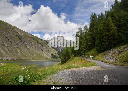 Livigno/Italien - Eine schöne Szene mit dem See und Menschen zu Fuß entlang der Promenade durch den Pinienwald, im Hintergrund blauer Himmel und Wolken Stockfoto