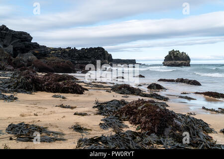 Licht Strand mit schwarzen Felsen und schlammigen Seegras tagsüber im Sommer Stockfoto