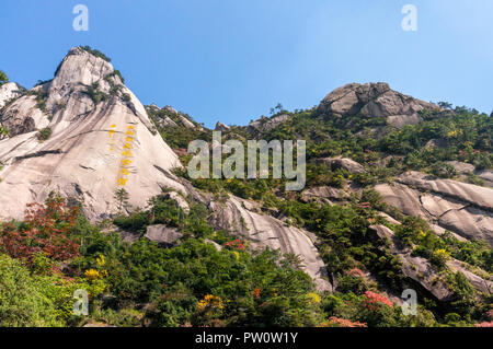 Seltsam geformte Felsen an einem nebligen Tag im Frühling. Landschaft des Huangshan Berg in China Stockfoto