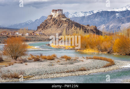 Indien Leh Ladakh, Matho Kloster in Ladakh, Jammu und Kaschmir, Indien. Wunderschöne Natur, aqua Fluss umgeben von braunen goldenen Bäumen und Himalaya moun Stockfoto