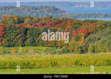 West Arm von Grand Bay fahren aus der Old Mission Peninsula im Herbst. Stockfoto