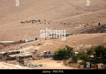 Oktober 12, 2018 - Khan Al-Ahmar, West Bank, Palästina-palästinensischen Beduinen Herde Schafe an der palästinensischen Beduinen Dorf Khan al-ahmar, im besetzten Westjordanland Oktober 12, 2018 Credit: Shadi Hatem/APA-Images/ZUMA Draht/Alamy leben Nachrichten Stockfoto